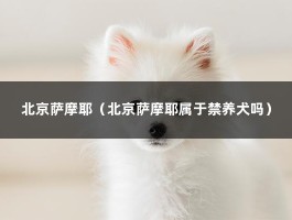 北京萨摩耶（北京萨摩耶属于禁养犬吗）